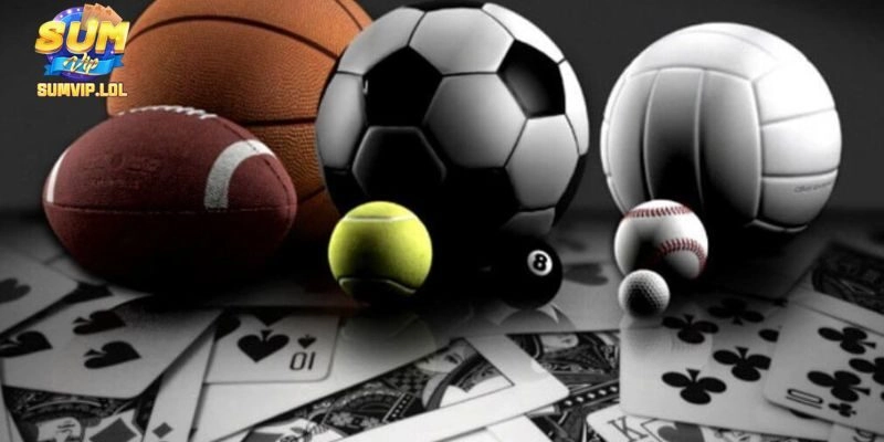 Cá cược thể thao là sảnh cược cực Hot